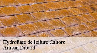 Hydrofuge de toiture