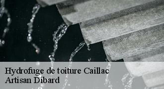 Hydrofuge de toiture
