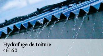 Hydrofuge de toiture