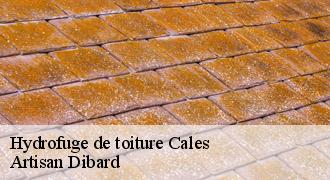 Hydrofuge de toiture