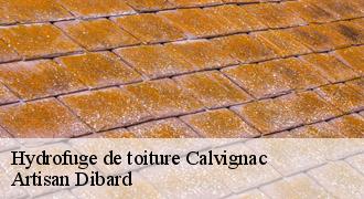 Hydrofuge de toiture