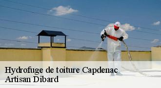 Hydrofuge de toiture