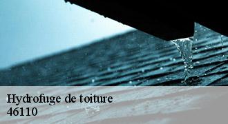 Hydrofuge de toiture
