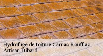 Hydrofuge de toiture