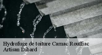 Hydrofuge de toiture