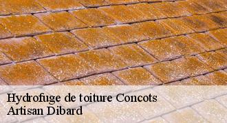 Hydrofuge de toiture