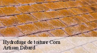 Hydrofuge de toiture