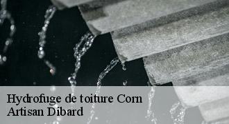 Hydrofuge de toiture