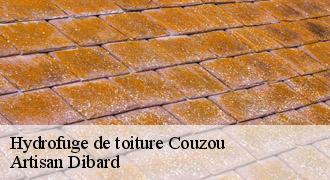 Hydrofuge de toiture