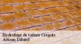 Hydrofuge de toiture