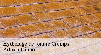 Hydrofuge de toiture