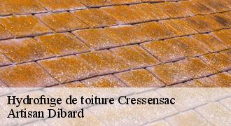 Hydrofuge de toiture