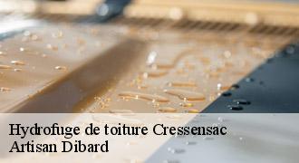 Hydrofuge de toiture