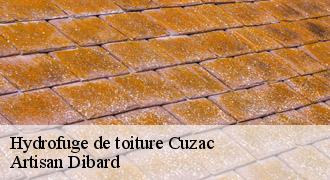 Hydrofuge de toiture