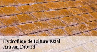 Hydrofuge de toiture