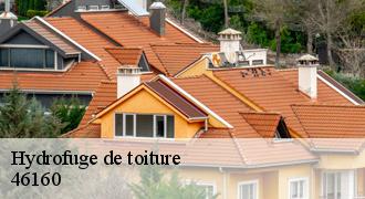 Hydrofuge de toiture
