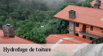 Hydrofuge de toiture