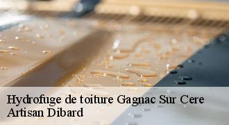 Hydrofuge de toiture