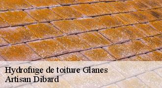 Hydrofuge de toiture