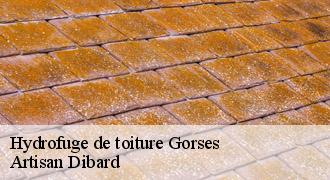 Hydrofuge de toiture