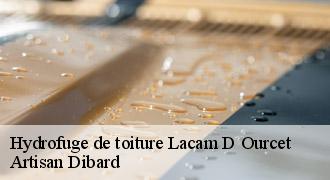 Hydrofuge de toiture