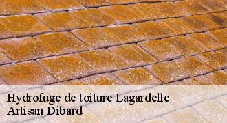 Hydrofuge de toiture