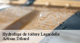 Hydrofuge de toiture