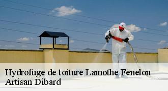 Hydrofuge de toiture