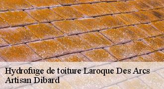Hydrofuge de toiture