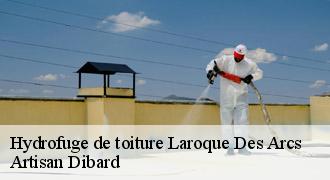 Hydrofuge de toiture