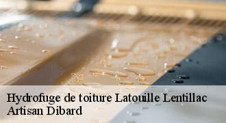 Hydrofuge de toiture