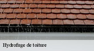 Hydrofuge de toiture