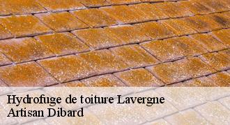Hydrofuge de toiture