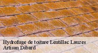 Hydrofuge de toiture