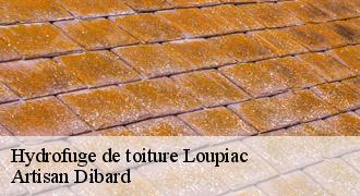 Hydrofuge de toiture