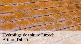Hydrofuge de toiture