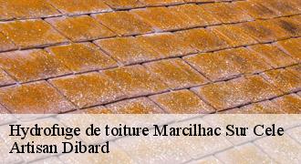 Hydrofuge de toiture
