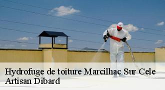 Hydrofuge de toiture