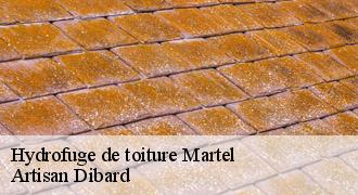 Hydrofuge de toiture
