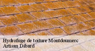 Hydrofuge de toiture
