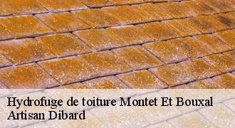 Hydrofuge de toiture