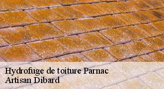 Hydrofuge de toiture