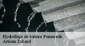 Hydrofuge de toiture