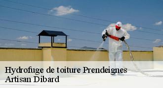 Hydrofuge de toiture
