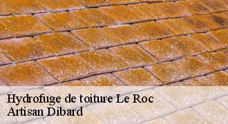 Hydrofuge de toiture