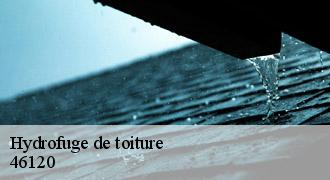 Hydrofuge de toiture