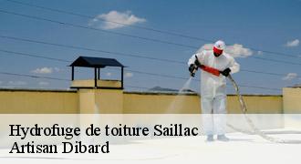 Hydrofuge de toiture