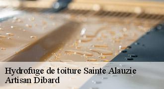 Hydrofuge de toiture