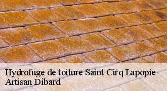 Hydrofuge de toiture