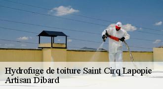 Hydrofuge de toiture